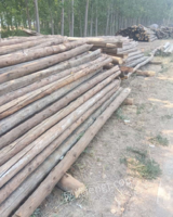 山东济南出售建筑木材，烧柴，淄博大瓦，松木板，方木