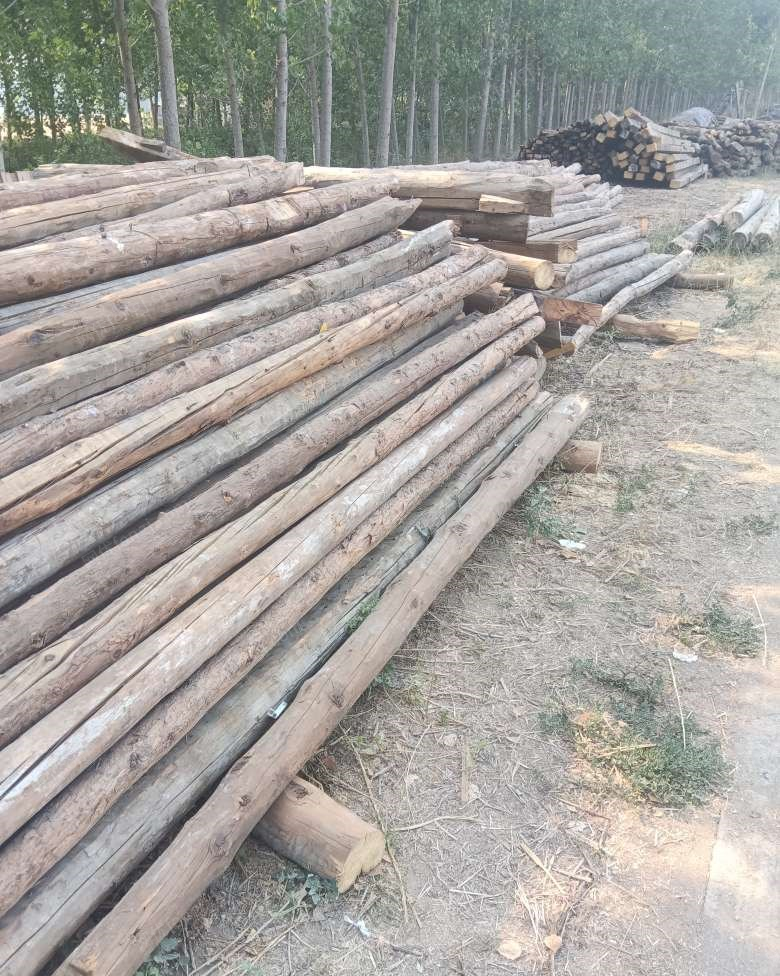 山东济南出售建筑木材，烧柴，淄博大瓦，松木板，方木