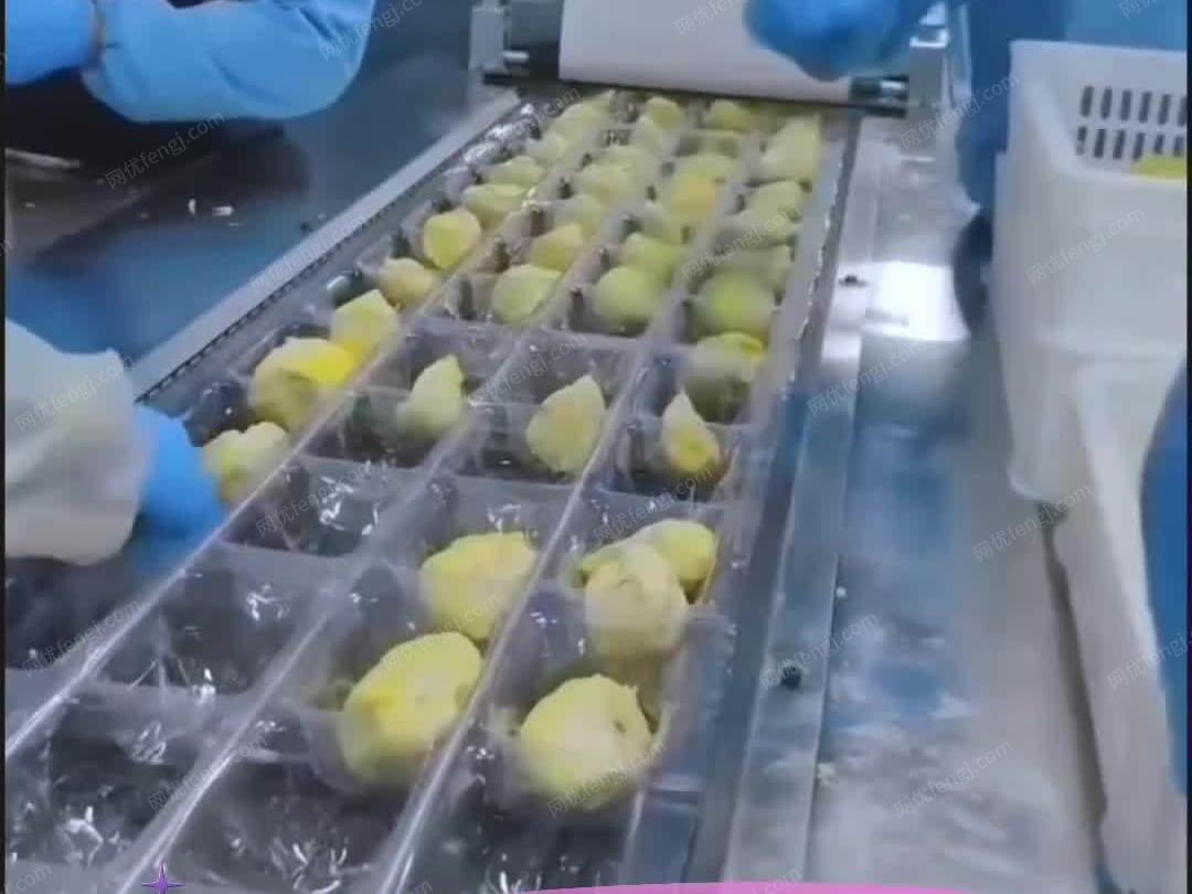 处理牛肉干二手420型拉伸膜真空包装...