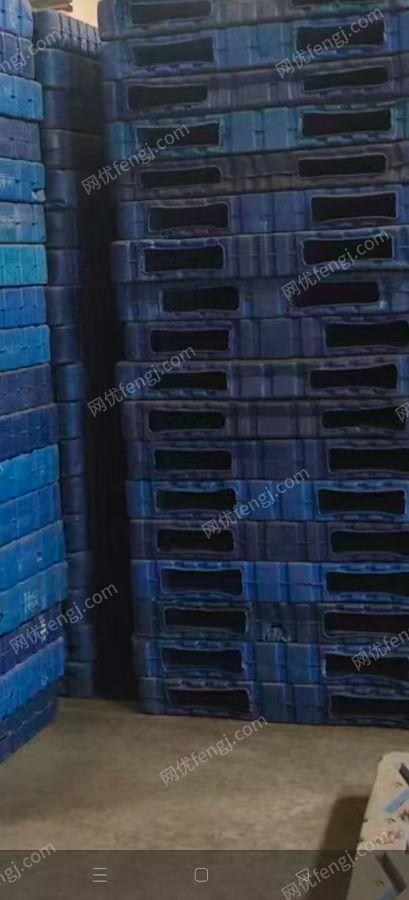 出售一批塑料拖盘 天津提货