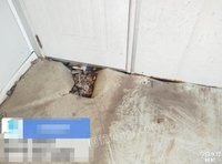 12��5��ɽ���ൺ�Ͼ�����һ������