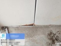 12��5��ɽ���ൺ�Ͼ�����һ������