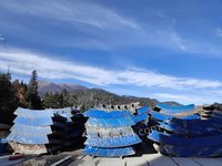 12��4������ĳ��ҵ�Ͼ�����һ������