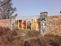 1��31�ջƵ���������·��������غ�Ժ������ֿ⼰������һ����������