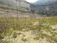 1��23���Ĵ�ʡ��ɽ��ɳ����̤ˮ��̤ˮ������ö�����ʯ������