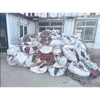 2��7�ա�һ�ġ���������һ���永����06 ��������