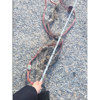 2��7�ա�һ�ġ���������һ���永����06 ��������