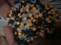 3��5�� �����������շϾ�����һ������