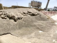 3��10�գ��ƣ������̽���ҵ�Ƽ����޹�˾120���/�꽹����Ŀ����ɳ������