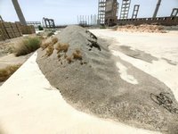 3��10�գ��ƣ������̽���ҵ�Ƽ����޹�˾120���/�꽹����Ŀ����ɳ������